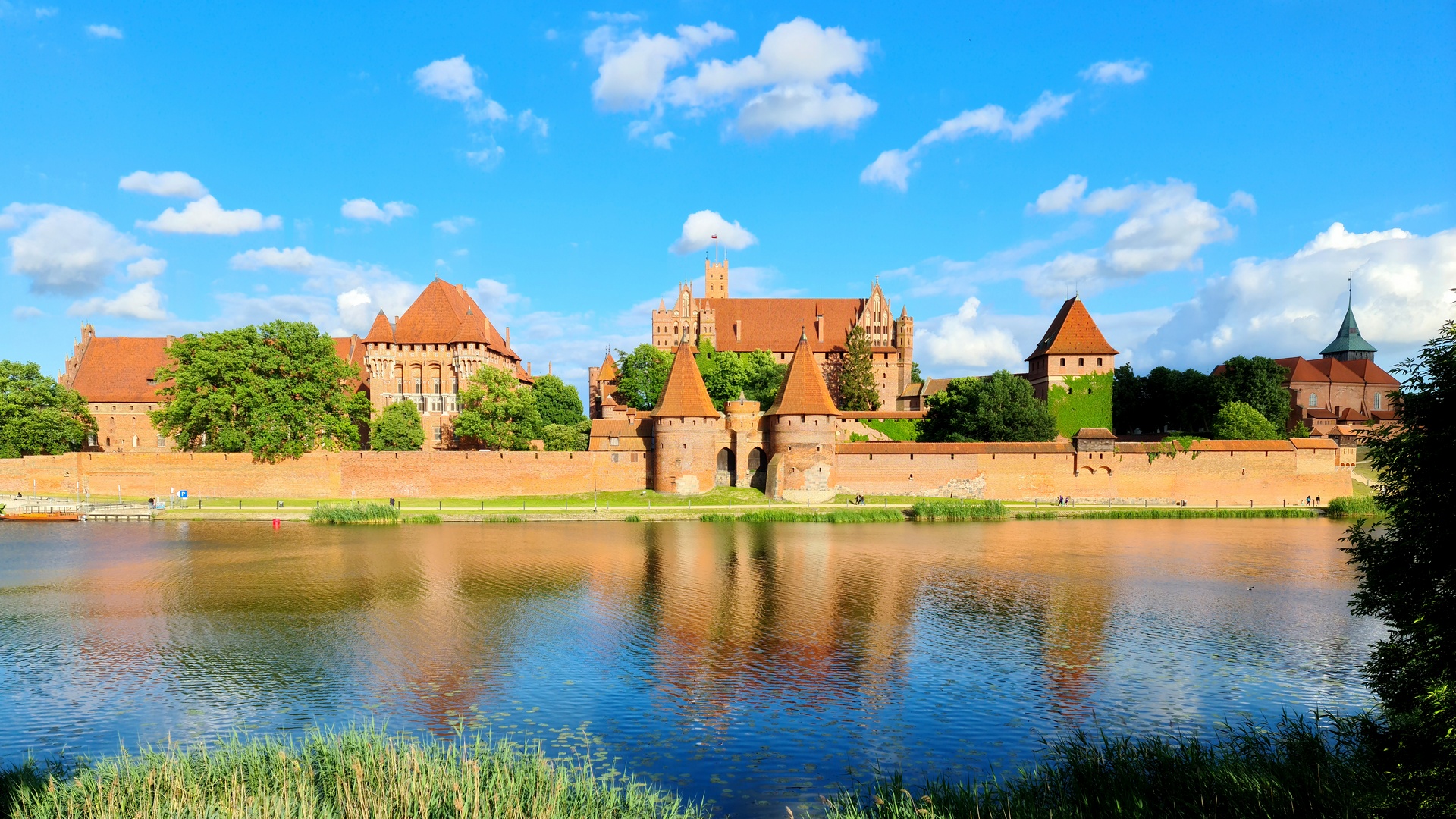 Zamek w Malborku widok od Nogatu